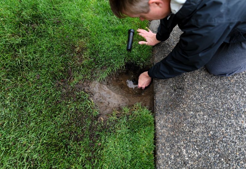 Leak Detection Service